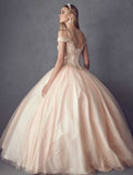 Juliet 1430 Dress Quinceanera Ball Gown Embroidered Applique Glitter Tulle