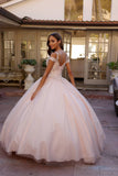 Juliet 1430 Dress Quinceanera Ball Gown Embroidered Applique Glitter Tulle