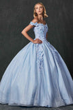 Juliet 1433 Dress Quinceanera Ball Gown 3D Floral Embroidered