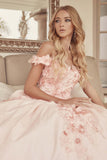 Juliet 1433 Dress Quinceanera Ball Gown 3D Floral Embroidered