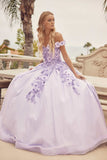 Juliet 1433 Dress Quinceanera Ball Gown 3D Floral Embroidered
