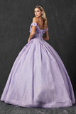 Juliet 1433 Dress Quinceanera Ball Gown 3D Floral Embroidered