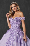 Juliet 1433 Dress Quinceanera Ball Gown 3D Floral Embroidered