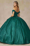 Juliet 1433 Dress Quinceanera Ball Gown 3D Floral Embroidered