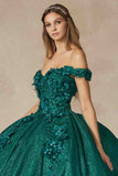 Juliet 1433 Dress Quinceanera Ball Gown 3D Floral Embroidered