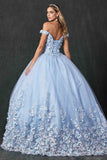 Juliet 1434 Dress Quinceanera Ball Gown 3D Floral Embroidered