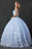 Juliet 1434 Dress Quinceanera Ball Gown 3D Floral Embroidered