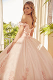 Juliet 1434 Dress Quinceanera Ball Gown 3D Floral Embroidered