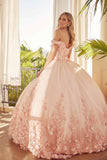Juliet 1434 Dress Quinceanera Ball Gown 3D Floral Embroidered