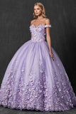 Juliet 1434 Dress Quinceanera Ball Gown 3D Floral Embroidered