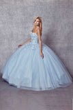 Juliet 1435 A-Line Ball Quinceanera Gown