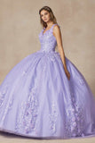 Juliet 1437 Floral Applique Quinceanera Ball Gown With 3D Flowers