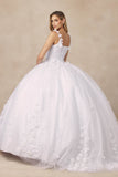 Juliet 1437 Floral Applique Quinceanera Ball Gown With 3D Flowers