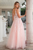 Juliet 224 V-Neck and Back Embroidered Tulle A-Line Ball Gown