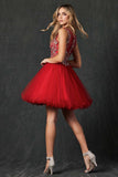 Juliet 749 Poofy A Line Short Dress Tulle Embroidery