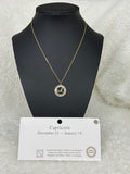 Zodiac Symbol Gold Dipped Necklace