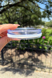 Lid