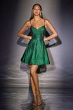 Ladivine CD2422 Fit and Flare Short Homecoming A-Line Dress