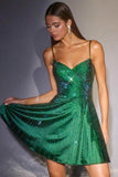 Ladivine CD2422 Fit and Flare Short Homecoming A-Line Dress