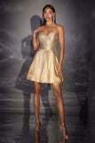 Ladivine CD2422 Fit and Flare Short Homecoming A-Line Dress