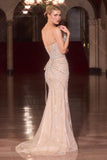 Ladivine CD715 Red Carpet Glamour Fitted Mermaid Gown