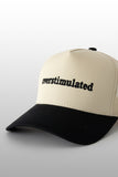 Overstimulated Two-Tone Trucker Hat