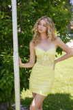 Nox Anabel D980 Embroidered Sweetheart Short Dress