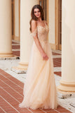 Nox Anabel F1567 Embroidered A-Line Sheer Boned Waistline Dress