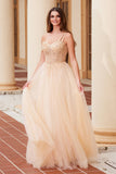 Nox Anabel F1567 Embroidered A-Line Sheer Boned Waistline Dress