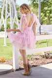 Nox Anabel T133 Fit and Flare Chiffon Dress with Deep V-Pleated Neck
