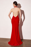 Astee T501 Long Halter V-Neckline Fitted Open Back Evening Gown