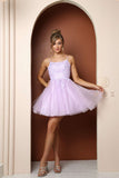Nox Anabel T718 Short A-Line Corset Back Baby Doll Dress Tulle Skirt