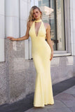 Astee T505 Sleek Halter Neck Fitted Stretch Gown